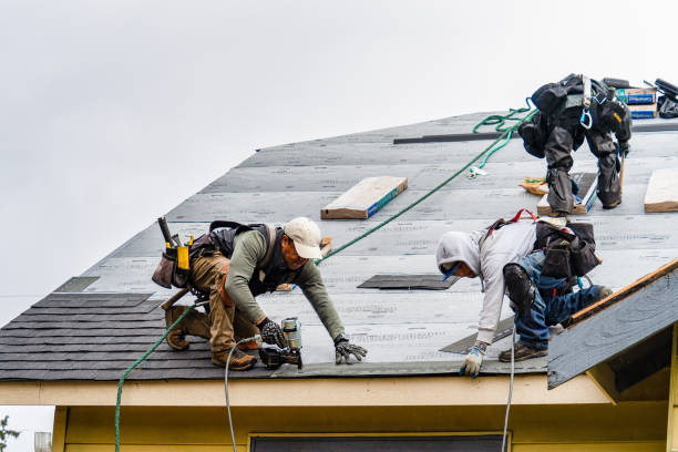 Professional Gutter Installation technician working in Knoxville, IL